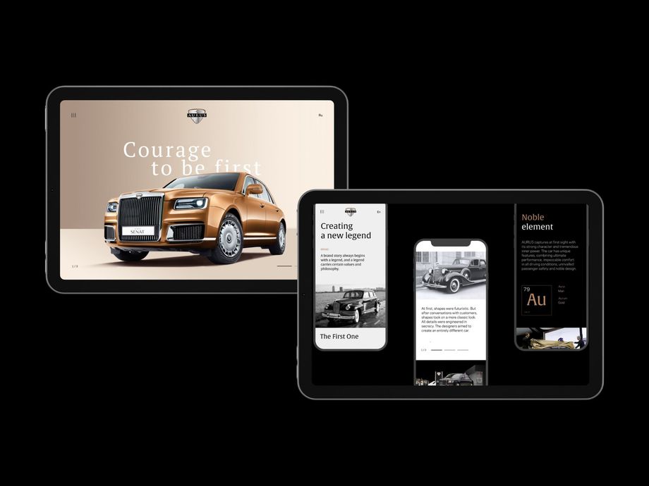 Website for Aurus motors