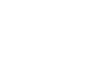 Virgin Co.